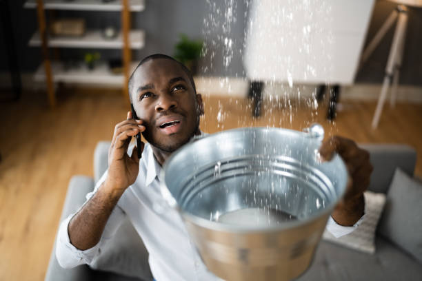 Best Water damage restoration near me  in Sur Hill, GA