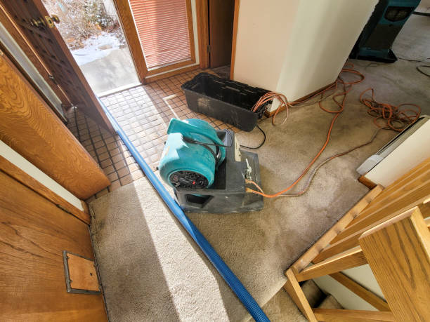 Best Fire Damage Restoration  in Sur Hill, GA