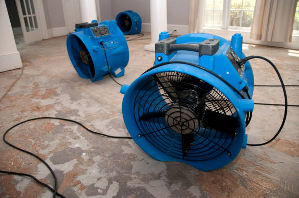 Best Water damage cleanup near me  in Sur Hill, GA