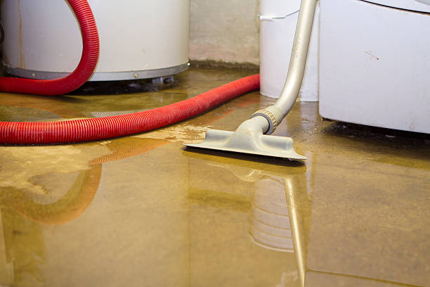 Best Flood damage cleanup  in Sur Hill, GA