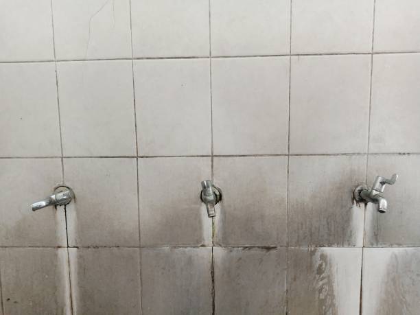 Best Professional water damage repair  in Sur Hill, GA