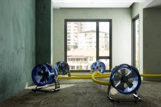 Best Commercial water damage restoration  in Sur Hill, GA